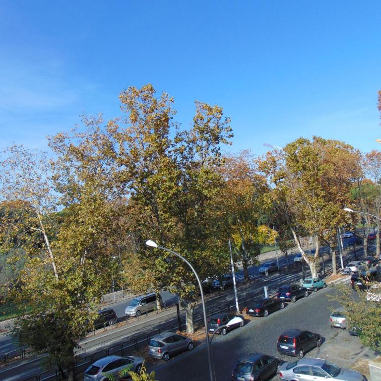 case vacanze in piazza del popolo - Appartamento con 1 Camera da Letto - 4