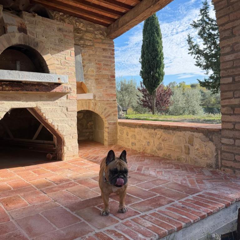 LA COLLINA DEI SAPORI Montepulciano - Appartamento con 3 Camere da Letto - 34