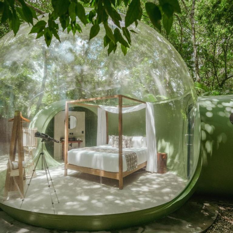 Óom Bubble Boutique Glamping by RUHA - Habitación con cama grande y vistas al jardín - 1