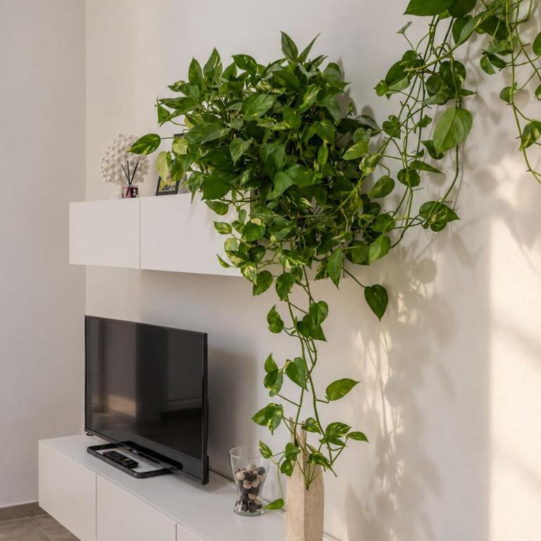 Casa Mazzini - Appartamento Classic - 6