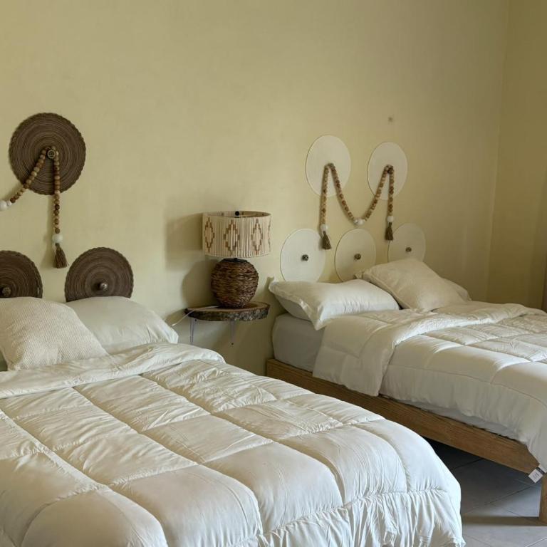 Hotel Aalil - Chambre Lits Jumeaux - 1