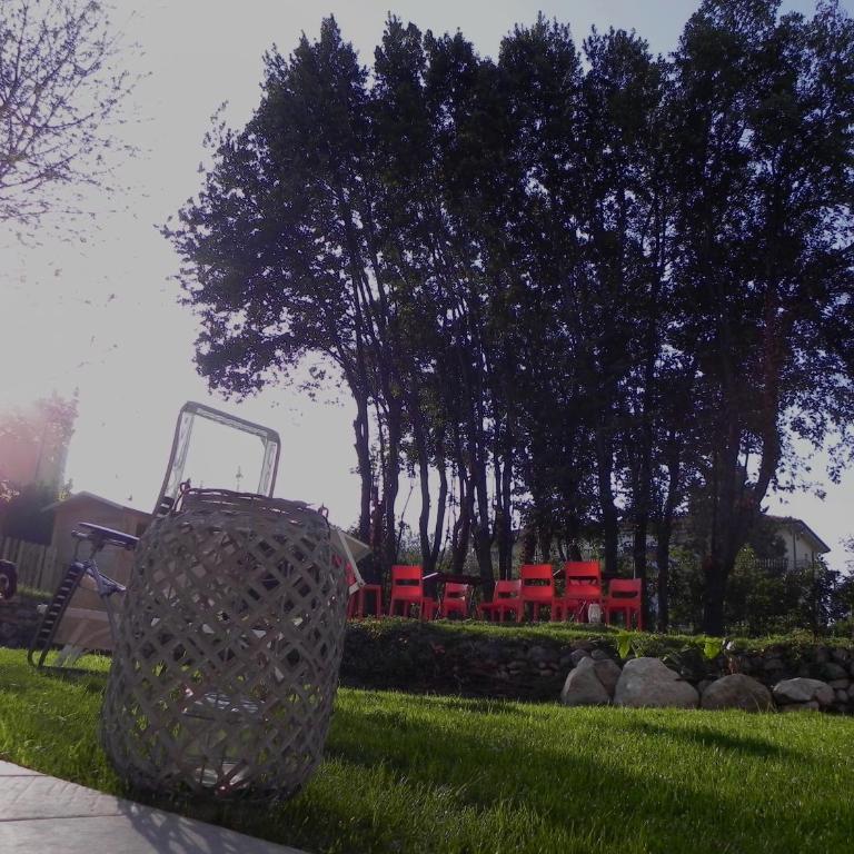 Villa Carlotta - Apartment - Ground Floor - 26