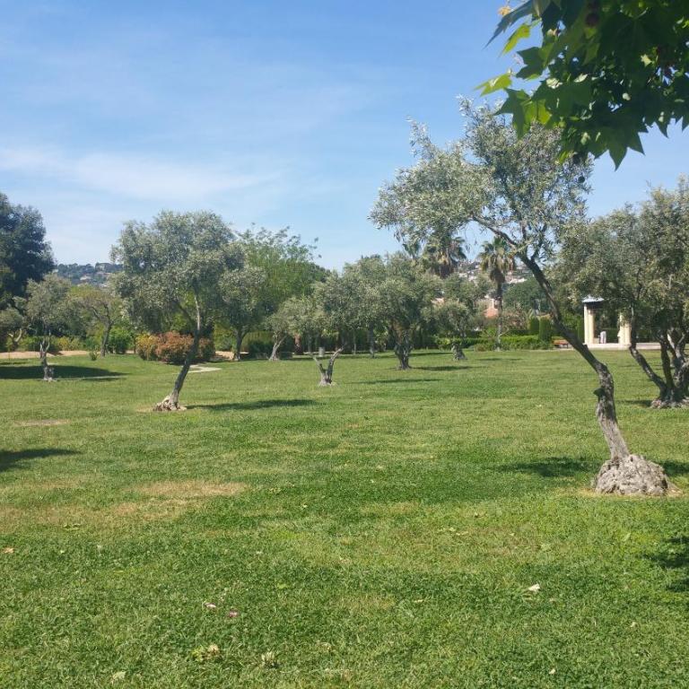 Appartement Les Alizés - Appartamento con 3 Camere da Letto - 50