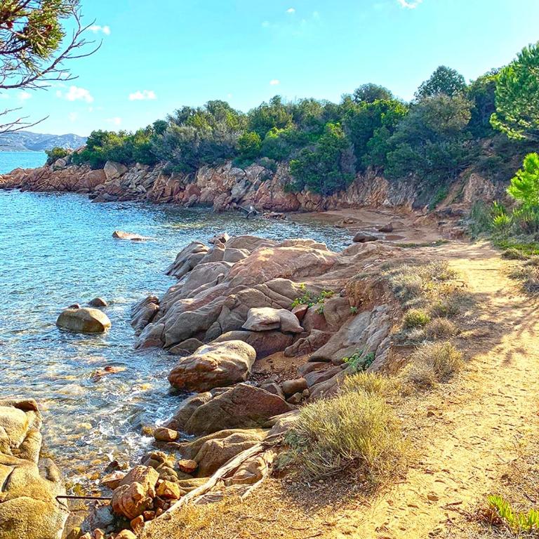 Cala Paradiso Apartment "Casa Agave" - SeaView, Wifi, AC - Casa Vacanze - 47
