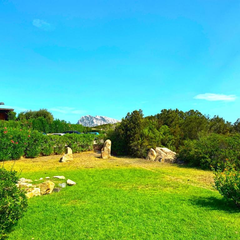 Cala Paradiso Apartment "Casa Agave" - SeaView, Wifi, AC - Casa Vacanze - 41