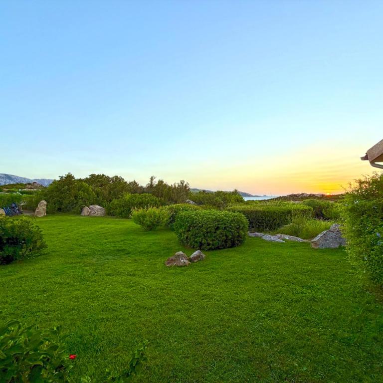 Cala Paradiso Apartment "Casa Agave" - SeaView, Wifi, AC - Casa Vacanze - 42