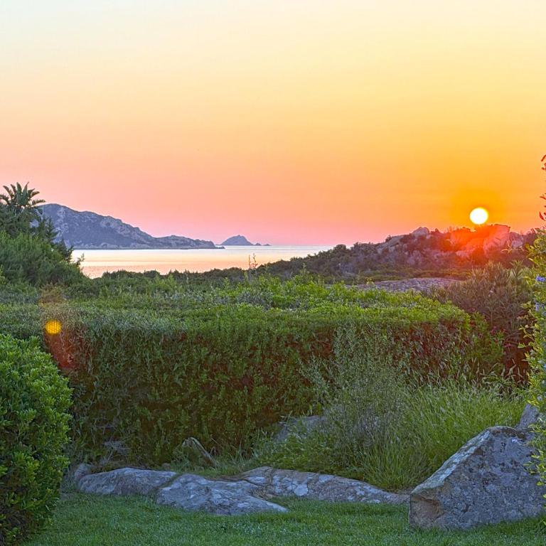 Cala Paradiso Apartment "Casa Agave" - SeaView, Wifi, AC - Casa Vacanze - 43