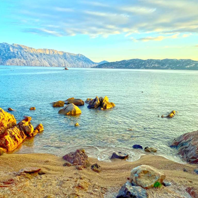 Cala Paradiso Apartment "Casa Agave" - SeaView, Wifi, AC - Casa Vacanze - 44