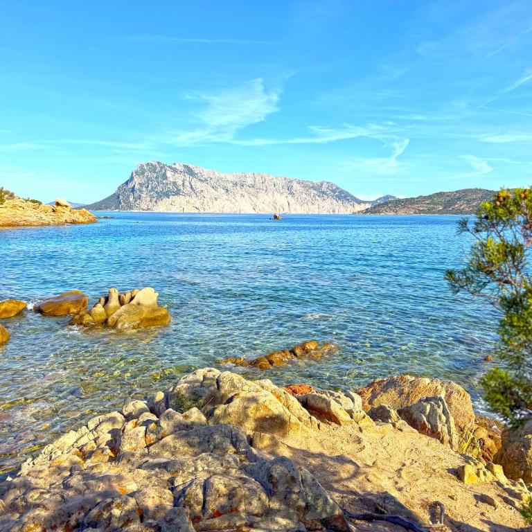 Cala Paradiso Apartment "Casa Agave" - SeaView, Wifi, AC - Casa Vacanze - 45