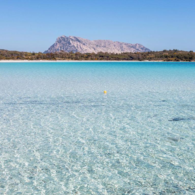 Cala Paradiso Apartment "Casa Agave" - SeaView, Wifi, AC - Casa Vacanze - 53