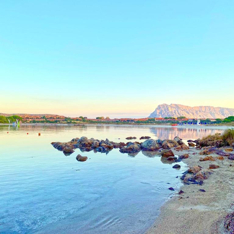 Cala Paradiso Apartment "Casa Agave" - SeaView, Wifi, AC - Casa Vacanze - 54