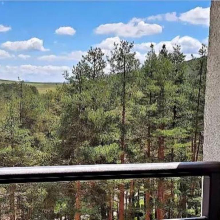 Apartman -Studio Galerija - Studio sa Sofom na Izvlačenje - 4
