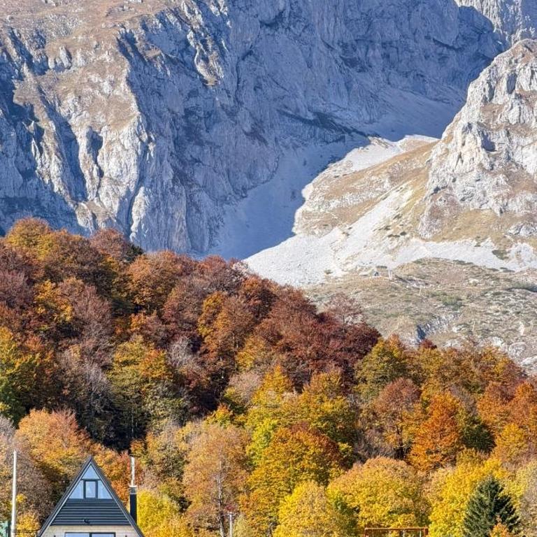 Zov planine - Kuća sa 2 Spavaće Sobe - 4