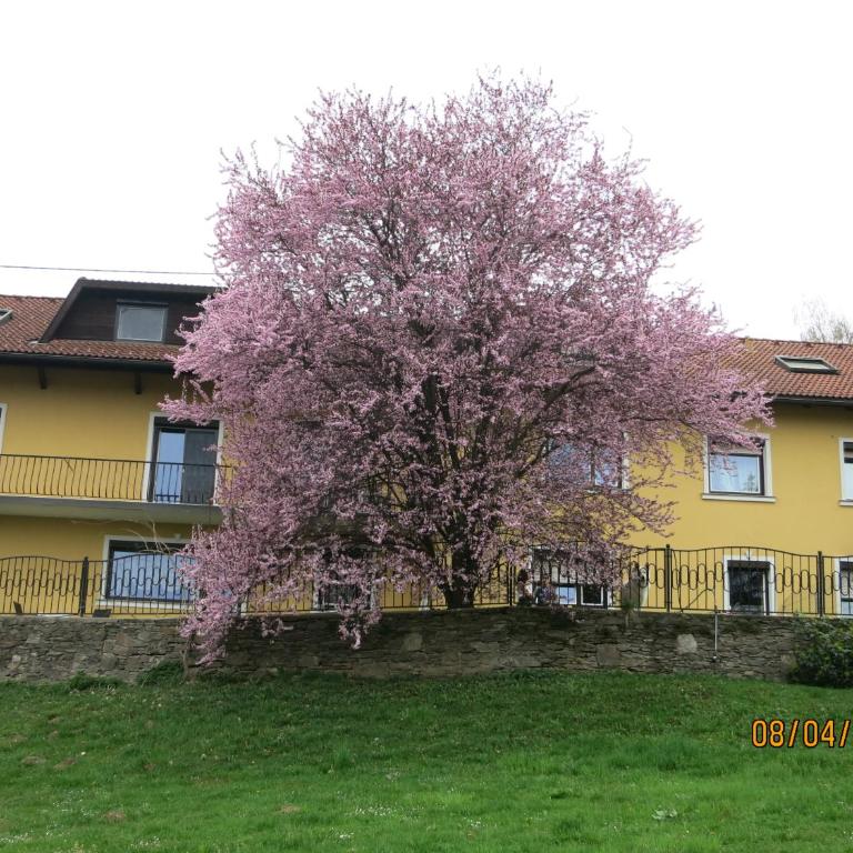 Ferienwohnungen Kremsbrucker - Apartment - Erdgeschoss - 3