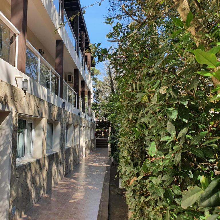 Complejo Rincón del Golf - Loft - 7
