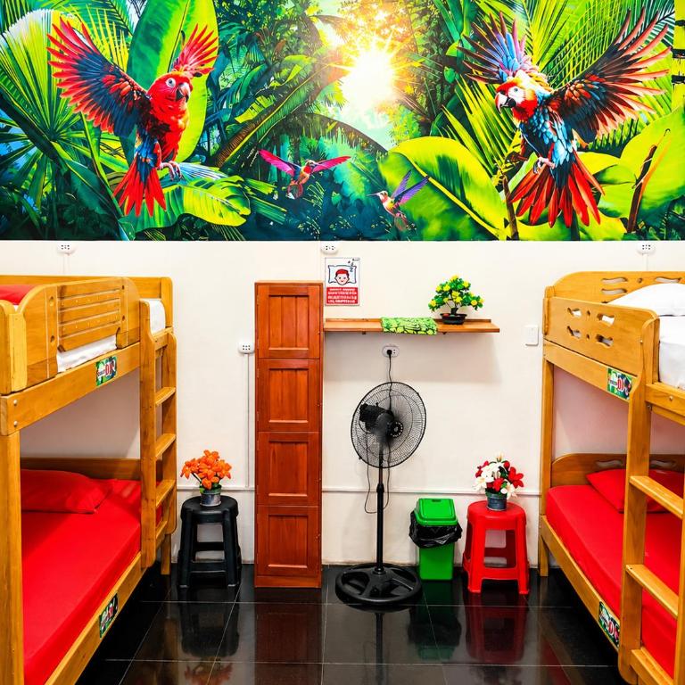A&T Amazon Backpackers - Cama en habitación compartida mixta de 8 camas - 1
