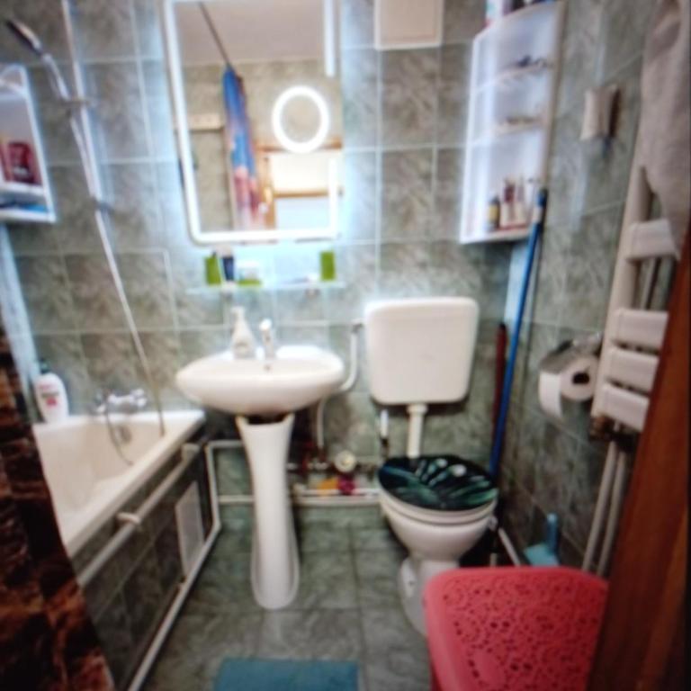 Wunderschöne Ferienwohnung mit alpinem Flair und behaglichem Ambiente für eine erholsame Auszeit in den Bergen - Appartement Deluxe - 3