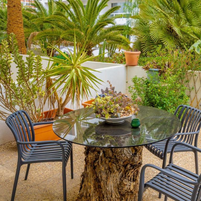 cactus - Appartement 2 Chambres - 16