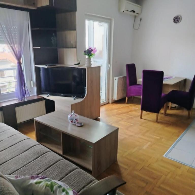 Apartman Jorgovan - Apartman sa 1 Spavaćom Sobom - 4
