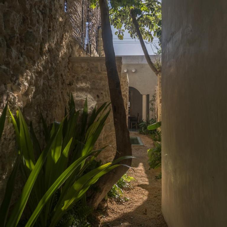 Casa Guarumo Architectural Home - Casa de 2 dormitorios - 9