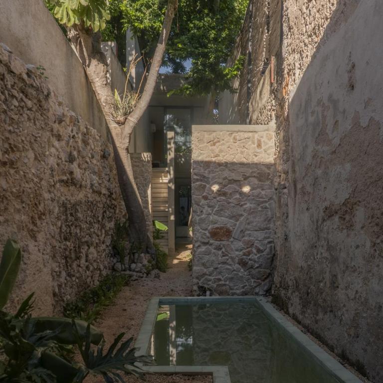 Casa Guarumo Architectural Home - Casa de 2 dormitorios - 6