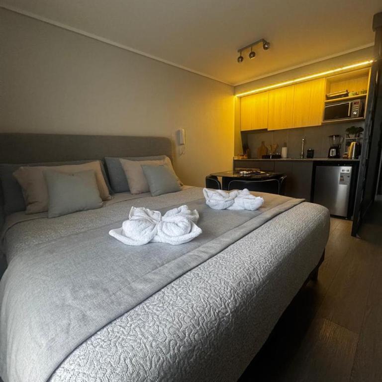 Departamento a pasos del Movistar con cama king - Apartamento de 1 dormitorio - 2