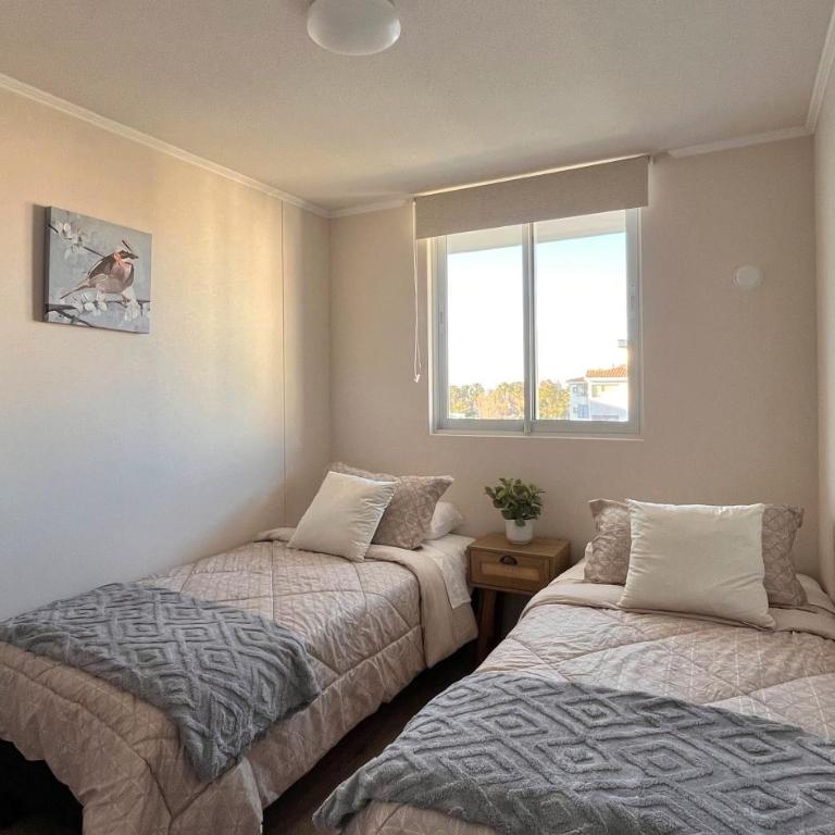 Dpto De Lore La Serena Avda del Mar - Apartamento Deluxe de 2 dormitorios - 17