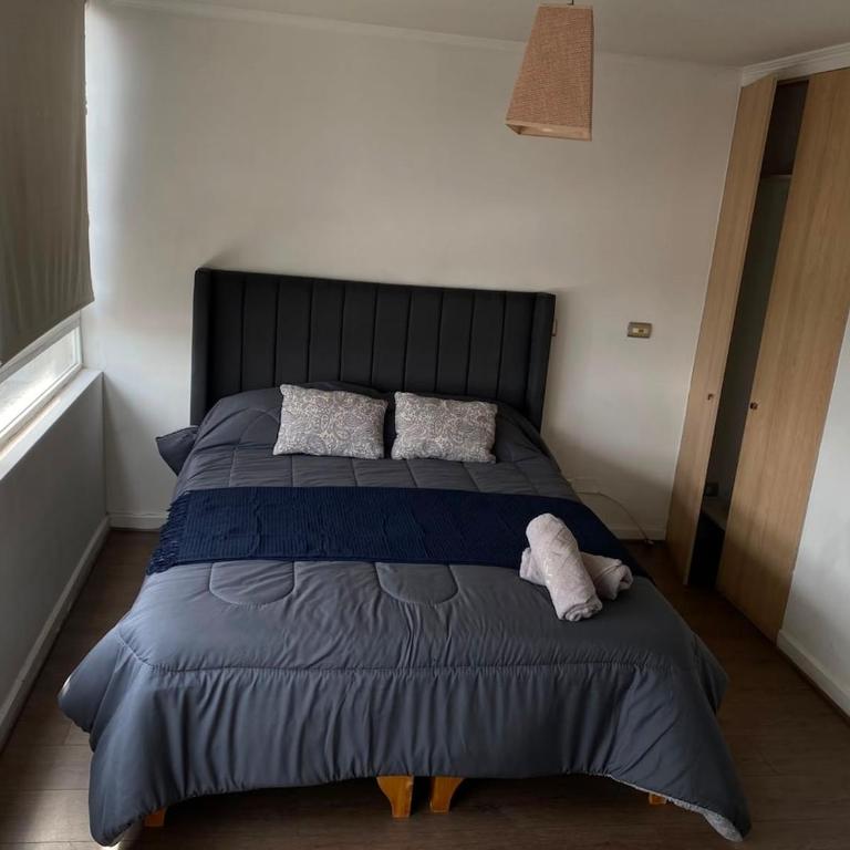 Studio in downtown Santiago, 100 por ciento equipped - One-Bedroom Apartment - 16