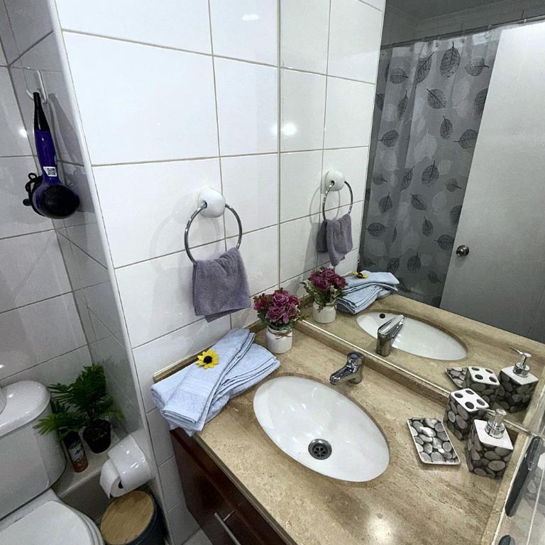 Apartamento con terraza cerca de las líneas de metro 2 y 3 y 5 ideal para turismo o trabajo - One-Bedroom Apartment - 21