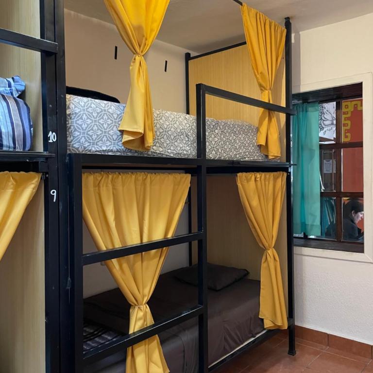 Hostal La Isla - Cama en habitación compartida mixta de 4 camas - 3