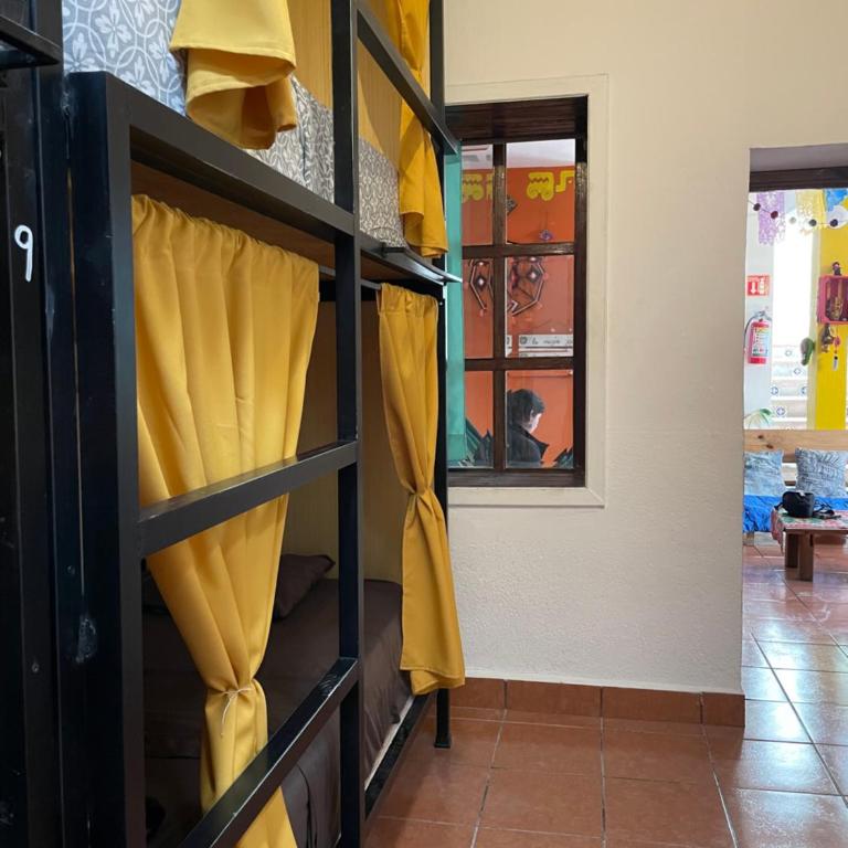 Hostal La Isla - Cama en habitación compartida mixta de 4 camas - 5
