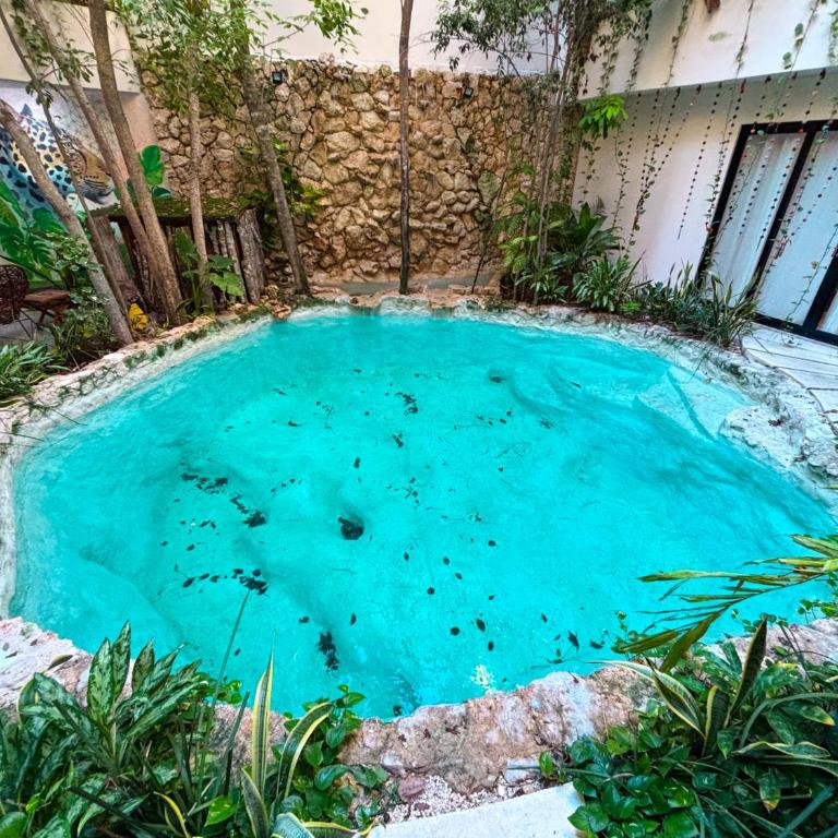 Tson Tulum Departamentos - Apartment mit 1 Schlafzimmer - 16