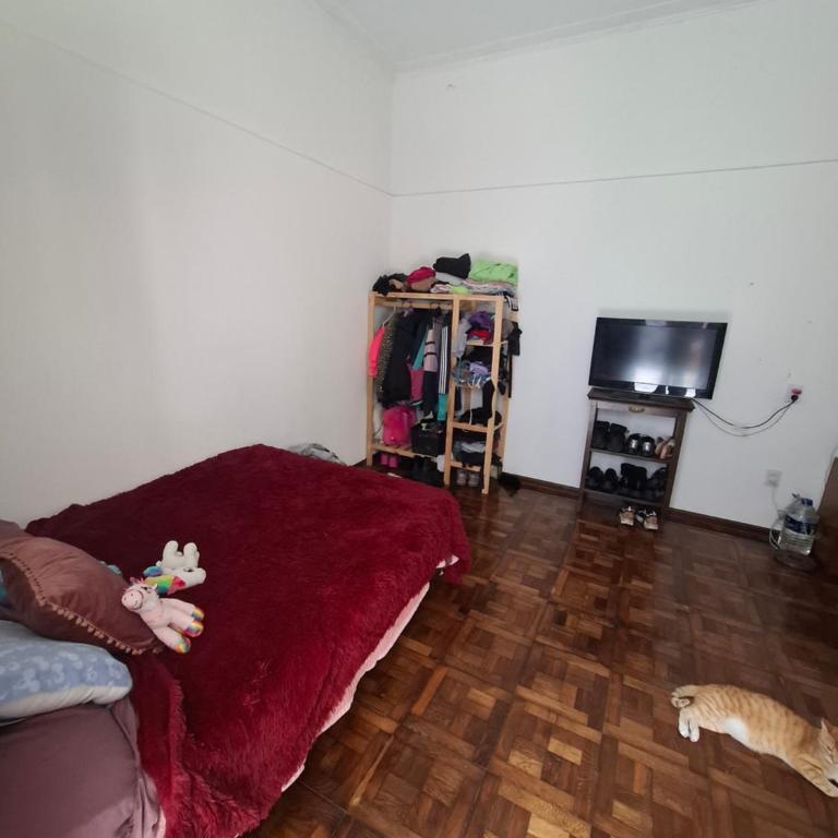 Departamento en La Plata zona centro - One-Bedroom Apartment - 3