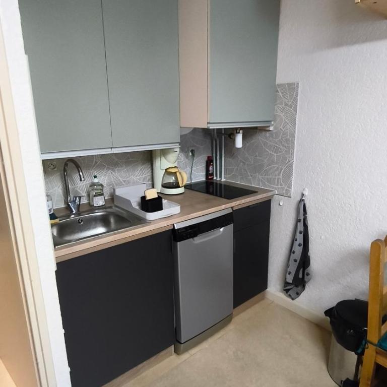 Studio tout confort - St Lary soulan 4 personnes - Apartamento Estudio con balcón - 17