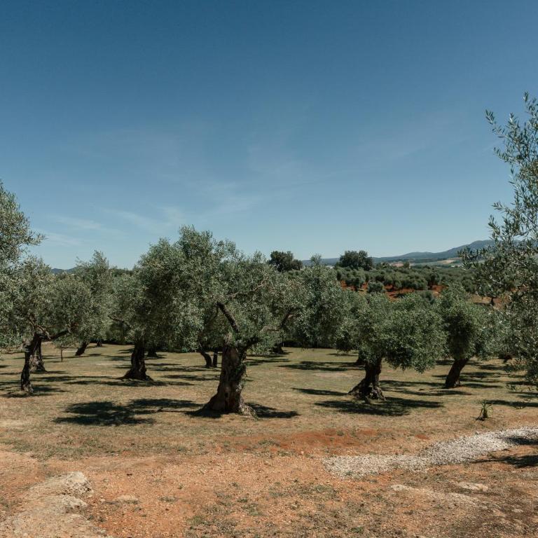 Luxury Villa Ronda La Dalena - Villa mit 3 Schlafzimmern - 55