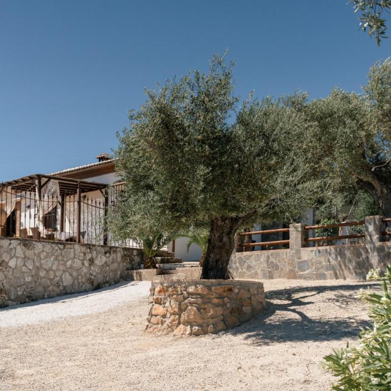 Luxury Villa Ronda La Dalena - Villa mit 3 Schlafzimmern - 53