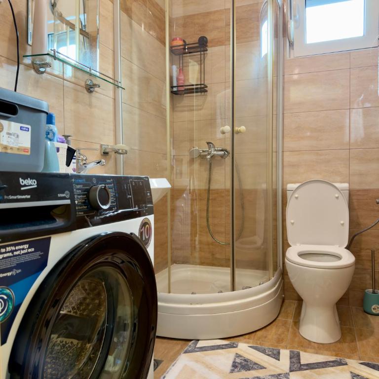 Bojovic's Apartment - Apartman - 12