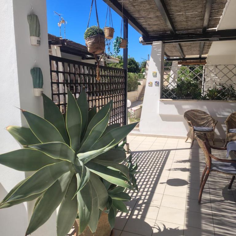 Guest House Adele - Casa - 7