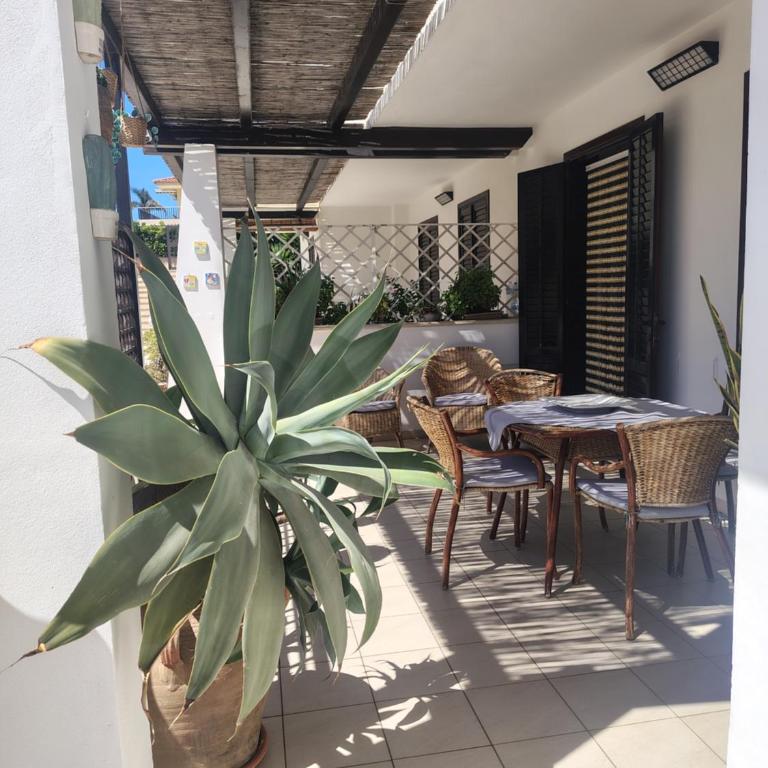 Guest House Adele - Casa - 6