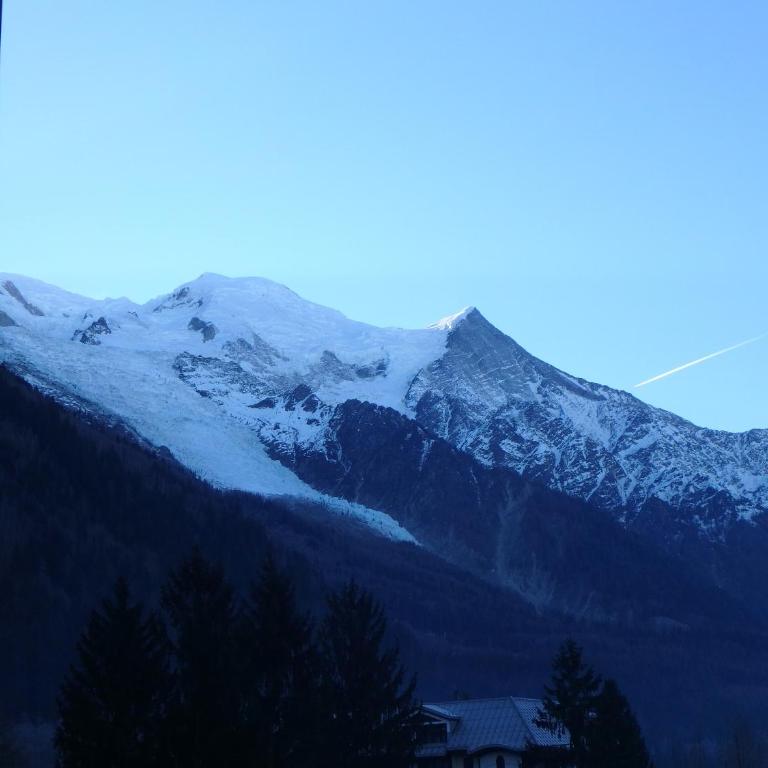 Chamonix IRIS - Appartamento su 2 Livelli - 16