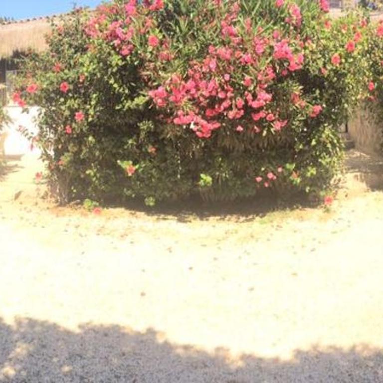 Cabañas Los Molles - Bungalow (2 adultos) - 4