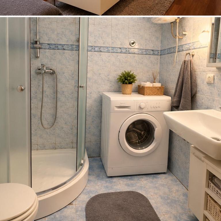 Kod Mc Donaldsa- Slavija - Apartman sa 1 Spavaćom Sobom - 3
