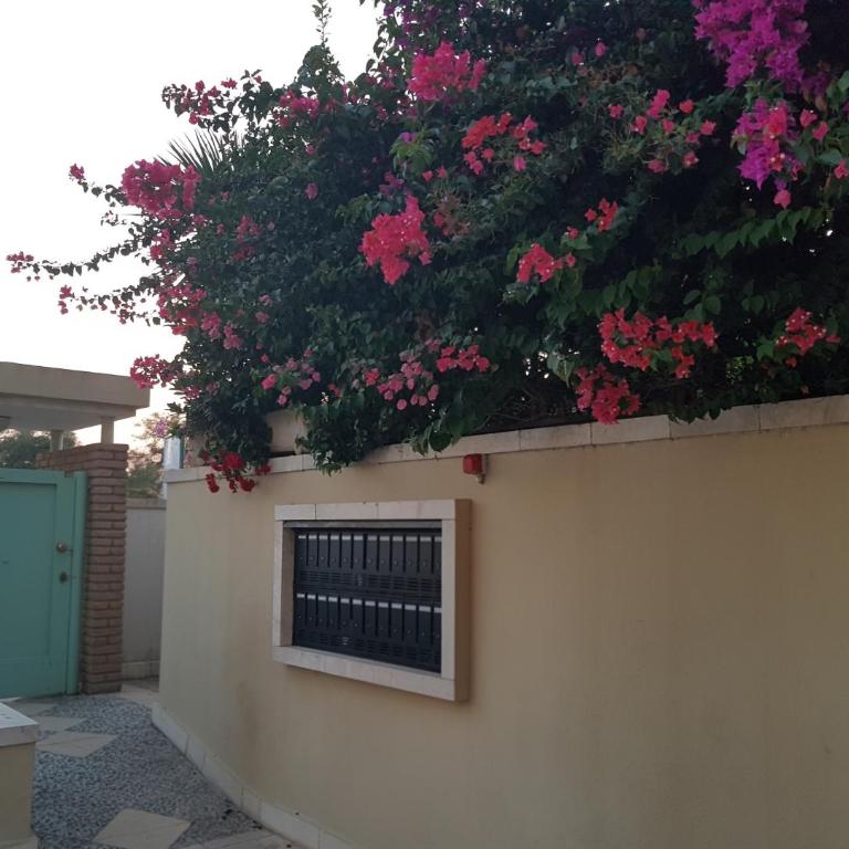 Exclusive on the beach - Two-Bedroom Apartment - 49