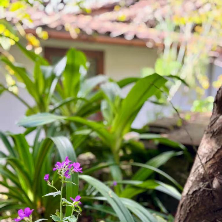 Hacienda Colonial, con jardines y chimeneas - Casa de 4 dormitorios - 12