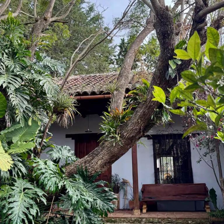 Hacienda Colonial, con jardines y chimeneas - Casa de 4 dormitorios - 30