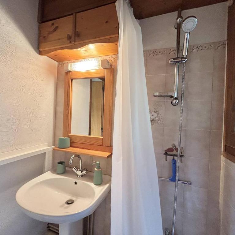 Appartement 2 pièces à Notre-Dame-de-Bellecombe - 4 personnes NDB305-0004 - Appartamento con 1 Camera da Letto - 17