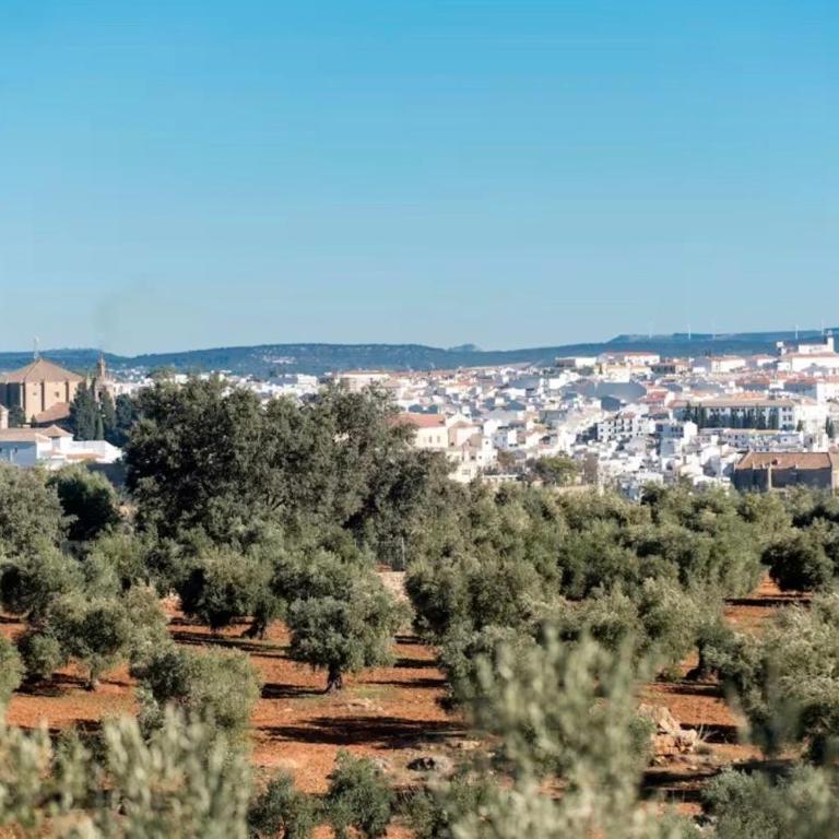 Luxury Villa Ronda La Dalena - Villa mit 3 Schlafzimmern - 15