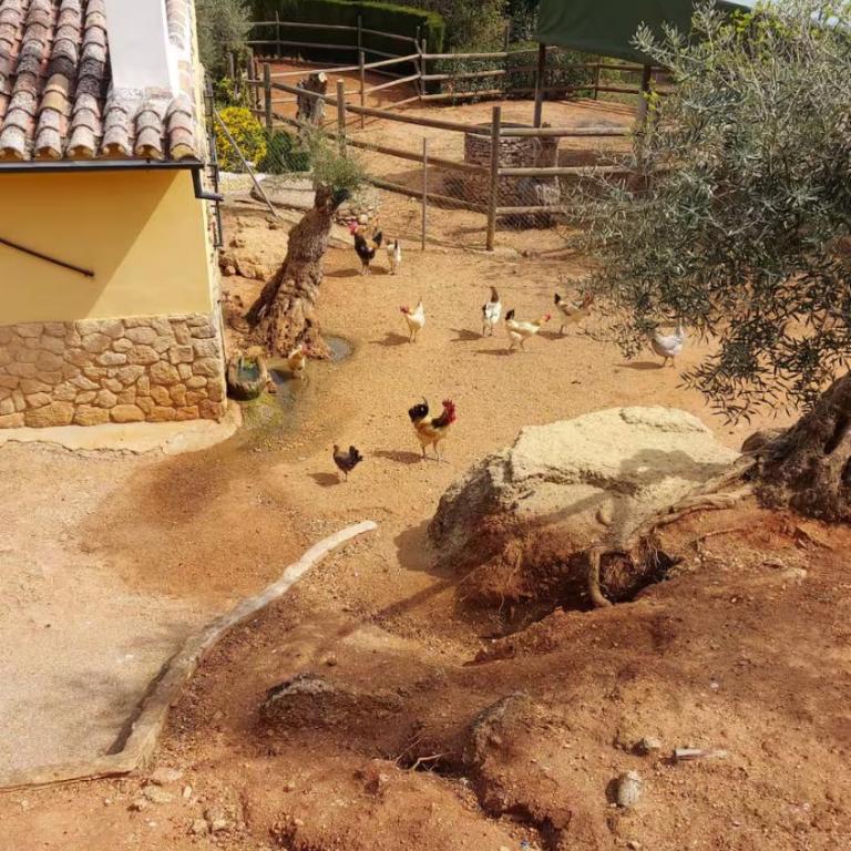 Luxury Villa Ronda La Dalena - Villa mit 3 Schlafzimmern - 44