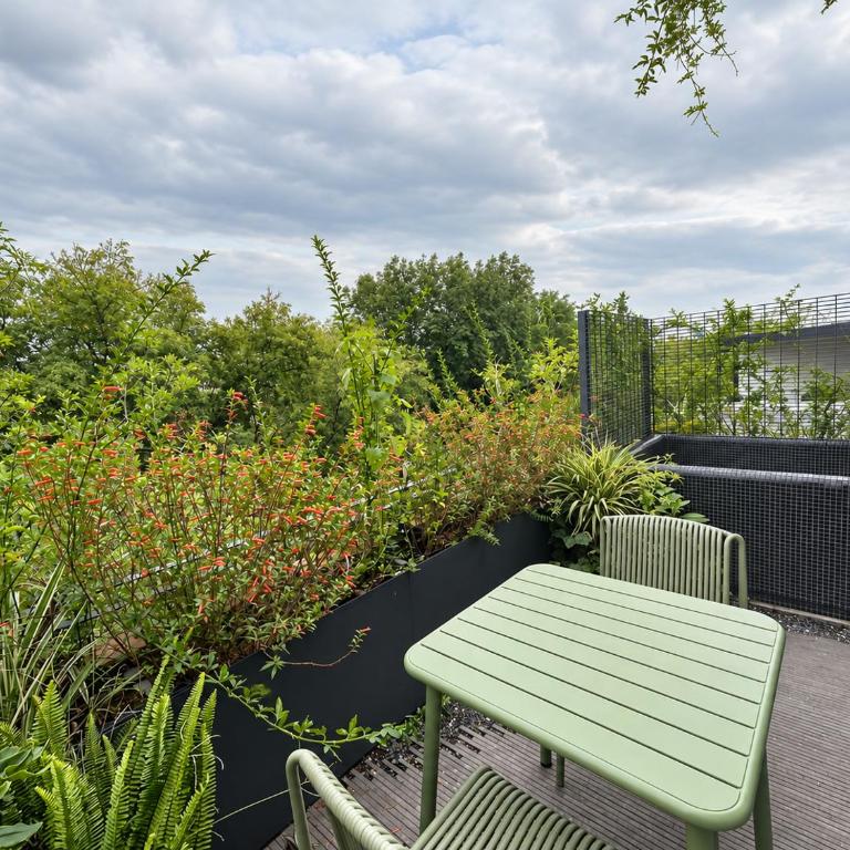 EMA Condesa - Suite avec Terrasse - 12