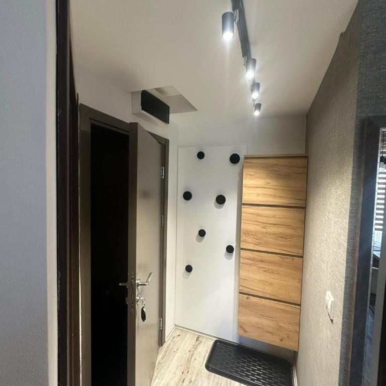 Aber apartman 13 - Kraljevi Čardaci - Apartman sa 1 Spavaćom Sobom - 4